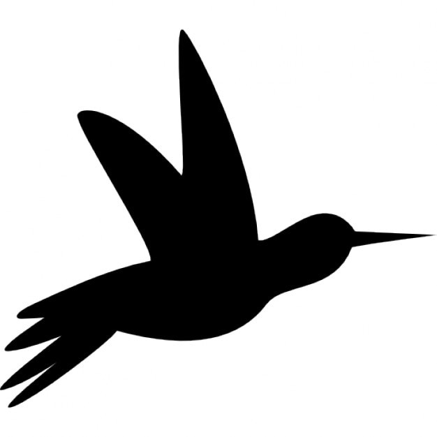 Kolibri Silhouette Schwarze Seite Download Der Kostenlosen Icons