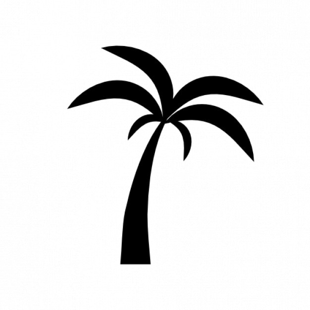 Palmera Icono Gratis