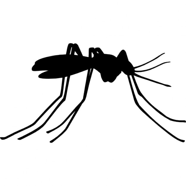 Resultado de imagen de dibujos sin fondo mosquito