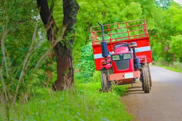 Agriculture en inde, inde Photo Premium