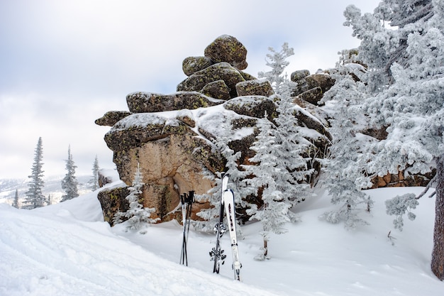 Arbres Couverts De Neige Et Ski De Montagne Au Sommet De