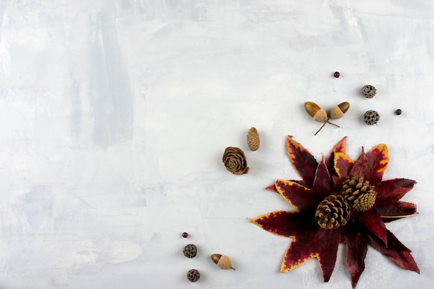 L'automne rouge laisse sur fond gris. concept de style tendance Photo Premium