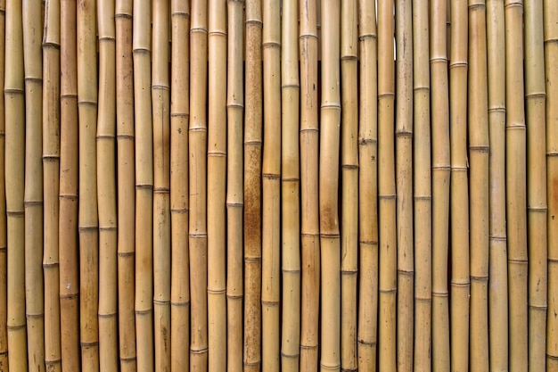 Bamboo Texture Photo Gratuite