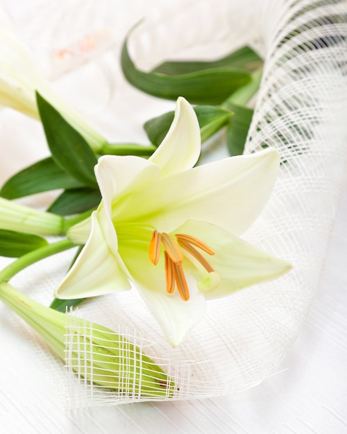 Beau Bouquet De Fleurs De Lys De Pâques Blanc Télécharger