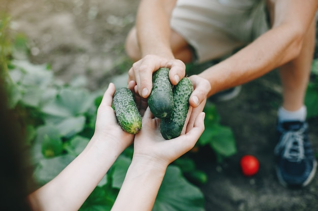Beau couple travaille dans un jardin Photo gratuit