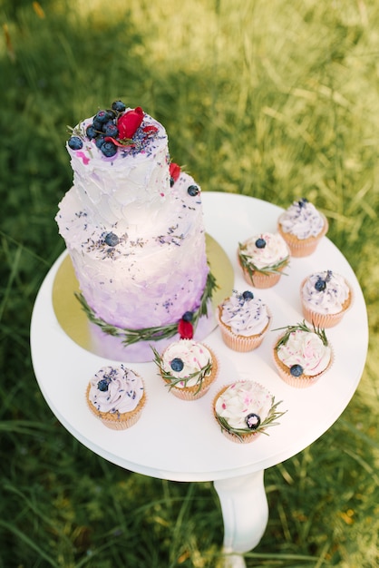 Beau Gateau De Mariage Delicieux Elegant Avec Des Baies Et Des Cupcakes Sur Tableau Blanc Et Fond De Nature Mise Au Point Selective Photo Premium