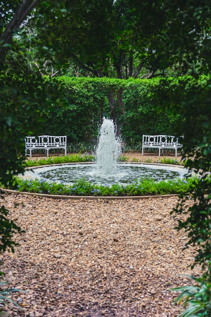 Beau parc verdoyant avec petite fontaine et banc Photo Premium