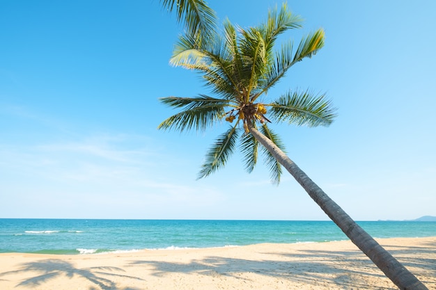 Beau Paysage De Cocotier Sur Une Plage Tropicale En Ete Photo Premium