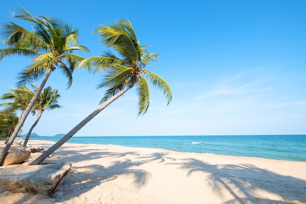 Beau Paysage De Cocotier Sur La Plage Tropicale Photo Premium