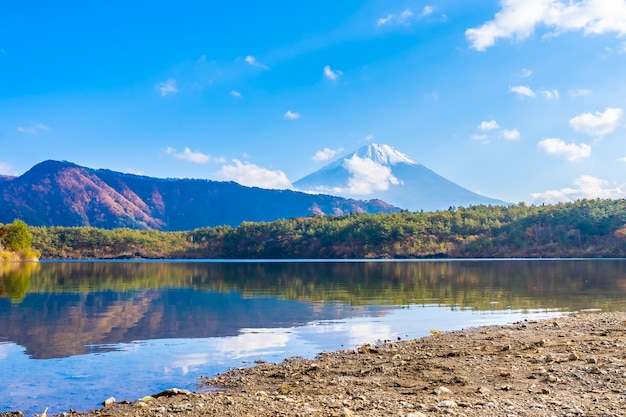 Beau Paysage De Montagne Fuji Photo Gratuite