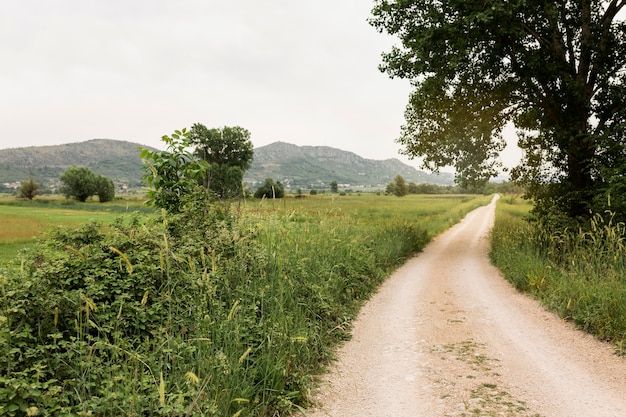 Beau Paysage Avec Route De Campagne Photo Premium