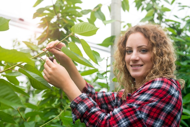 Belle Femme Agriculteur Tenant Des Cerises Dans Un Verger Vert Photo