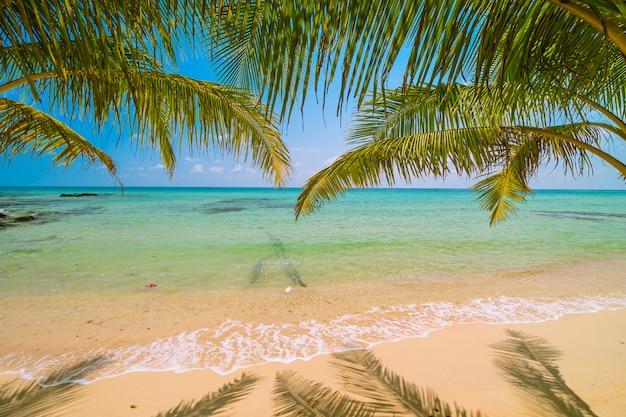 Belle Ile Paradisiaque Avec Paysage De Mer Et Plage Photo Gratuite