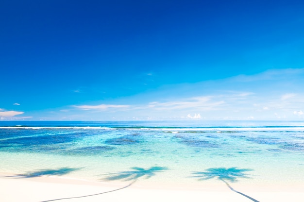 Belle Plage Avec Un Ciel Bleu Télécharger Des Photos