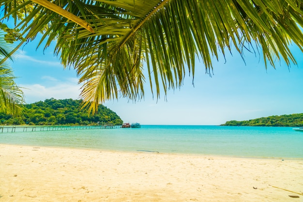 Belle Plage Tropicale Et Mer Avec Cocotier Sur Une île