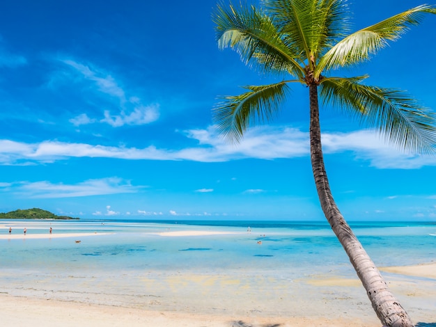 Belle Plage Tropicale Et Mer Avec Cocotier Télécharger Des