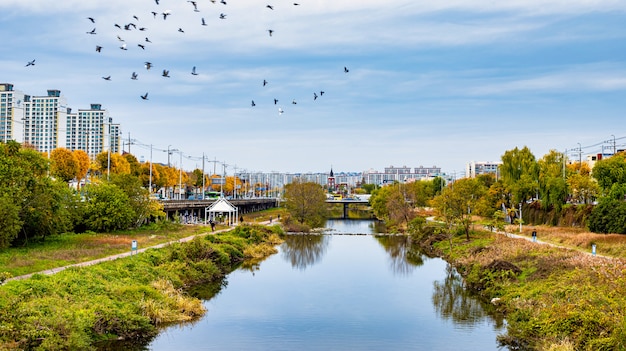 Belle Saison D automne De La Ville De Gwangju Et De La 