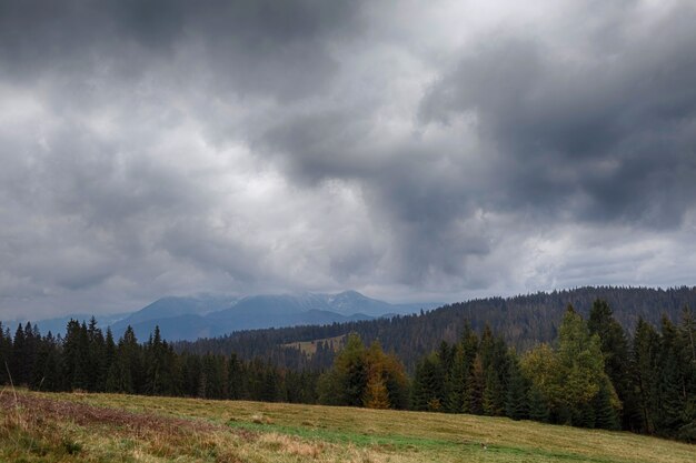 Belle Vue Sur La Montagne De Grande Taille Photo Premium