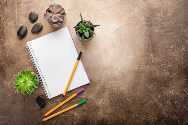 Bloc-notes et plantes succulentes sur la table vue de dessus Photo Premium
