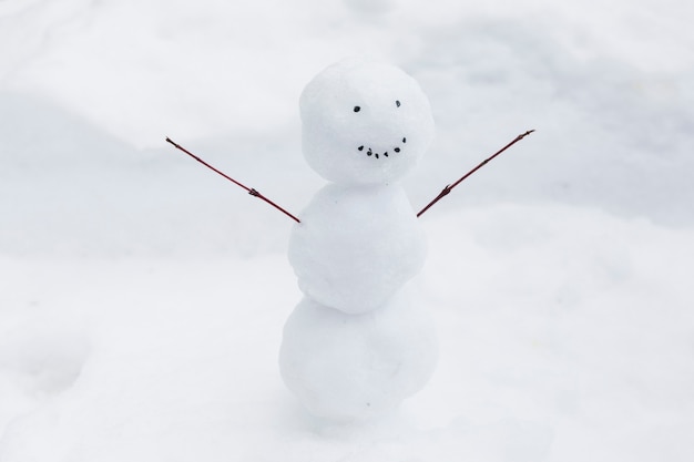 Bonhomme De Neige Drôle Sur Le Banc De Neige Télécharger