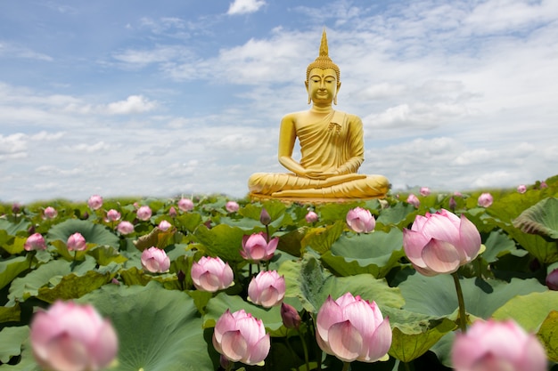  Bouddha  Dor  Aux Fleurs  De Lotus Photo Premium