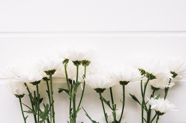 Bouquet De Fleurs Blanches Devant Un Fond En Bois Blanc