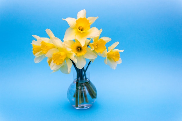 Bouquet de jonquilles Photo Premium
