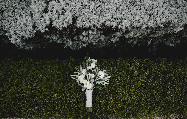 Bouquet De Mariée De Fleurs Blanches Se Trouve Sur Le