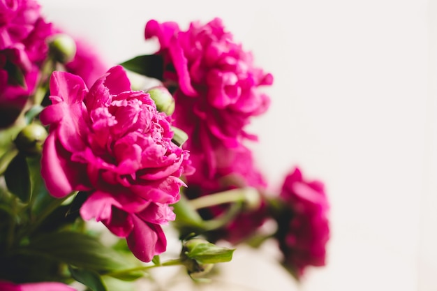 Bouquet De Pivoines En Fleurs Nature Morte Avec Un Bouquet