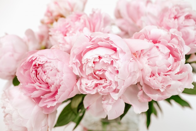 Bouquet De Pivoines En Fleurs Rose Pale Sur Le Blanc Isole Photo Premium