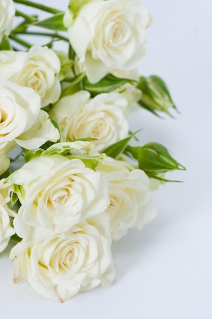 Bouquet De Roses  Blanches  Sur Fond Blanc  Photo Premium