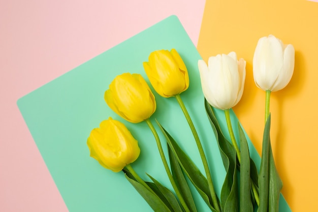 Bouquet De Tulipes Printanieres Blanches Et Jaunes Sur Fond De Couleur Fleurs De Printemps Paques Saint Valentin 8 Mars Joyeux Anniversaire Concept De Vacances Copier L Espace Photo Premium