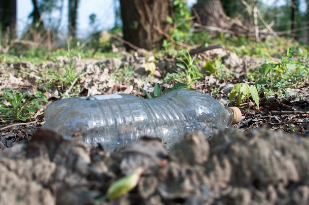 Bouteille en plastique dans la forêt près de l'étang. pollution environnementale. problème environnemental et catastrophe. Photo Premium