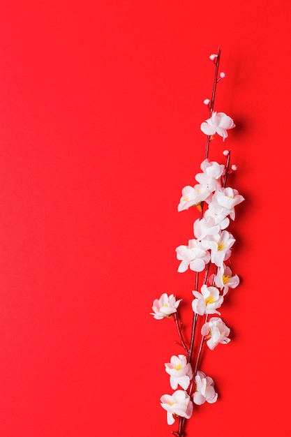 Branche De Fleur De Cerisier Sur Rouge Télécharger Des