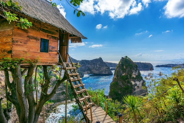  Cabane  Dans Les Arbres Et Diamond Beach Sur L le De Nusa 