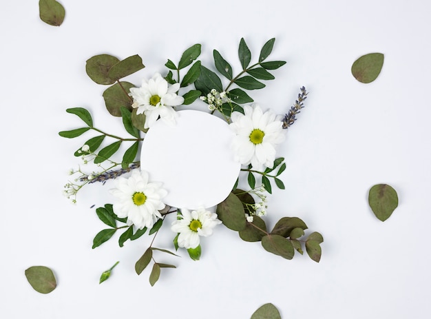 Cadre Blanc Circulaire Sur Marguerite Blanche Et Fleurs D