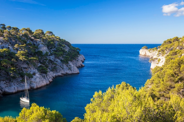 Calanques De Port Pin, Cassis, France | Photo Premium