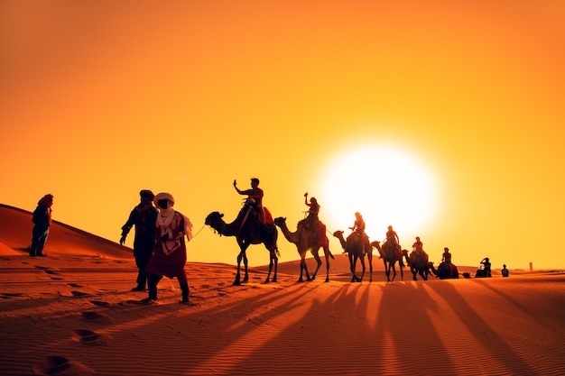 Caravane De Chameaux Au Coucher Du Soleil Dans Le Desert Du Sahara Photo Premium