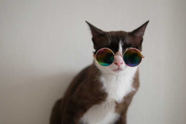 Le Chat Brun Avec Une Marque Blanche Porte Des Lunettes De Style Metallise Pour Faire La Fete Deguisez Vous Dans Une Ambiance Drole Et Cool Photo Premium