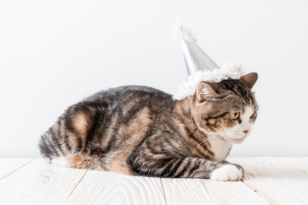 Chat Avec Chapeau De Fete Photo Premium