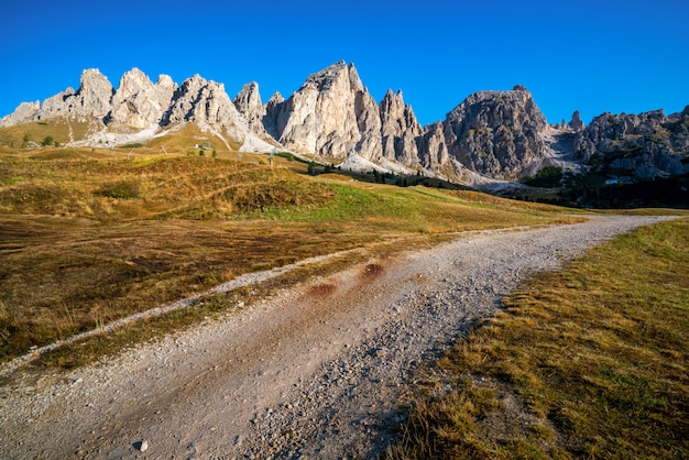 Chemin De Terre Et Sentier De Randonnee Dans Les Dolomites En Italie Photo Premium