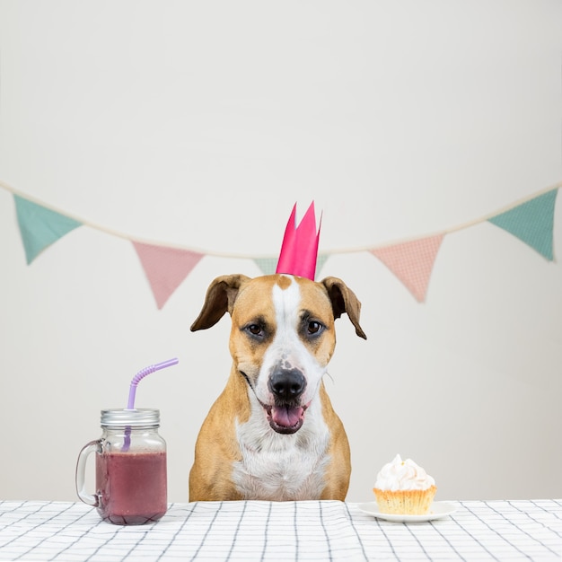 Chien Et Son Anniversaire Se Gateront Sous La Forme D Un Gateau Festif Et D Une Boisson Chiot Mignon Dans Une Couronne Posant Dans Une Salle Decoree Avec Un Muffin Photo Premium