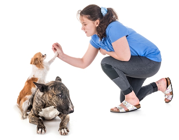 Chiens, propriétaire et obéissance Photo Premium