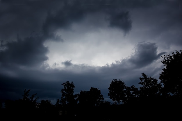 Ciel Sombre Dramatique Sombre Et Silhouettes Noires D Arbres Photo Premium