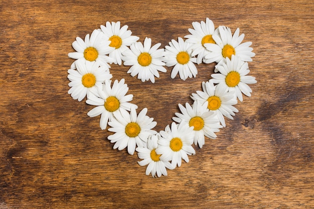 Cœur Ornemental De Fleurs Blanches Photo Gratuite