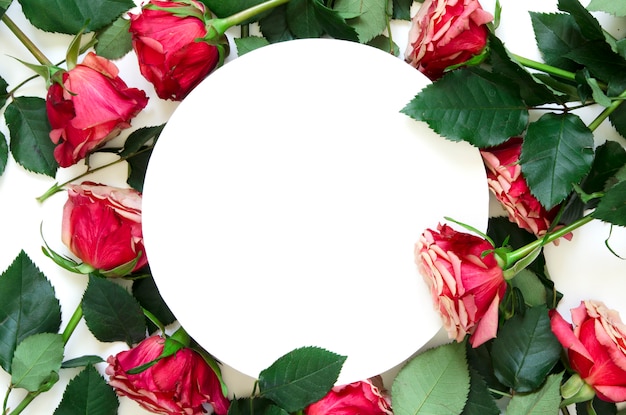 Composition de fleurs. cadre composé de fleurs roses sur fond blanc. lay plat, vue de dessus, espace de copie Photo Premium