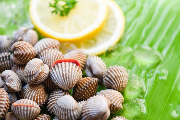 Coquillage Fruits De Mer Coques Fraiches Au Citron Et Glace Sur Une Feuille De Bananier Photo Premium