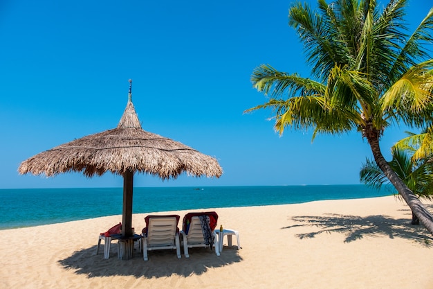 Couple De Chaises De Plage Et Cocotier Sur Une Plage