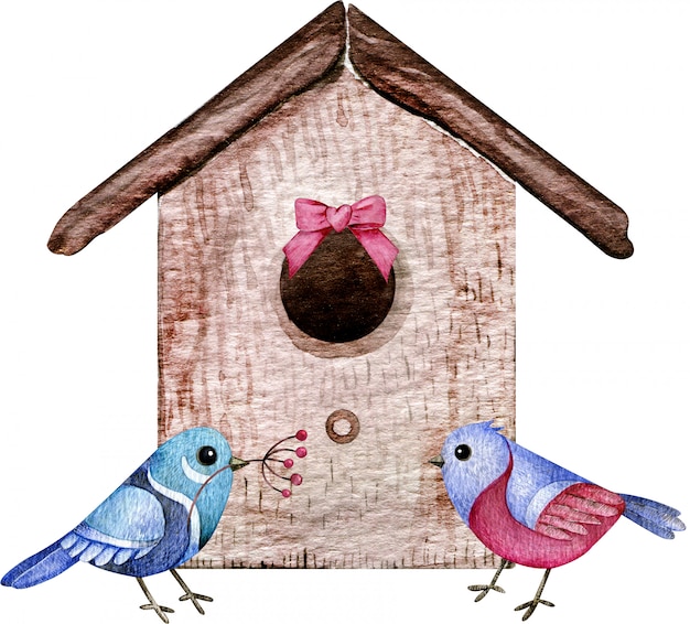 Couple Doiseaux Avec La Maison Illustration Aquarelle D