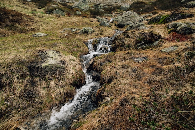 Crique de montagne avec une eau cristalline dans les alpes suisses Photo gratuit